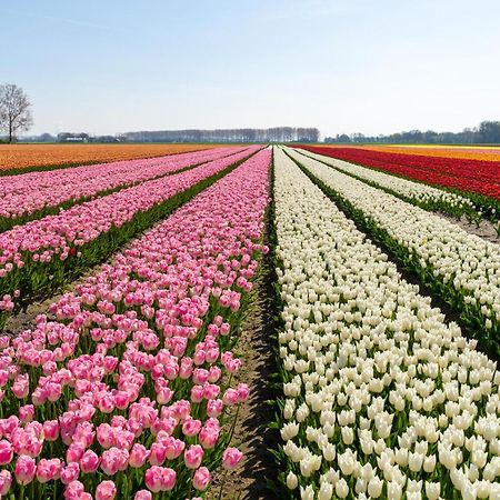Vakantiehuis De Wilgenhof Wetering Bagian luar foto